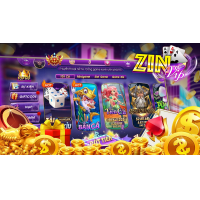 Zinvip