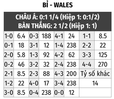 Bỉ vs Wales