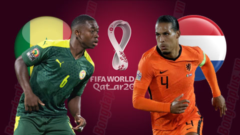 Soi kèo Senegal vs Hà Lan, 23h00 ngày 21/11: Hà Lan thắng kèo châu Á