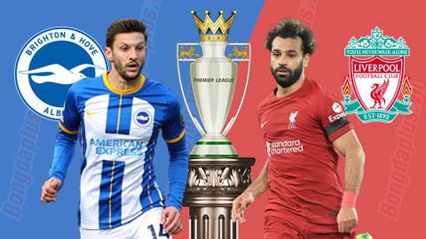 Soi kèo Brighton vs Liverpool, 22h00 ngày 14/1: Brighton thắng chấp góc hiệp 1