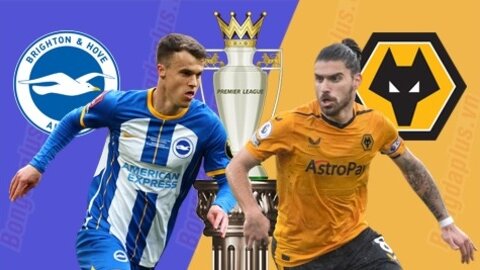 Nhận định bóng đá Brighton vs Wolves, 21h00 ngày 29/4: Trút giận lên Wolves