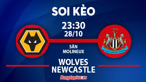 Soi kèo hot hôm nay 28/10: Wolves thắng kèo góc chấp trận Wolves vs Newcastle; Khách từ hòa tới thắng Schalke vs Hannover